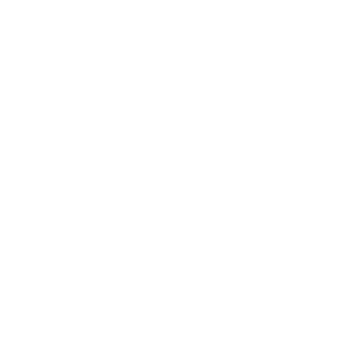 Caution Icon